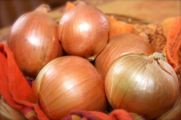 Кракен ссылка официальная на тор