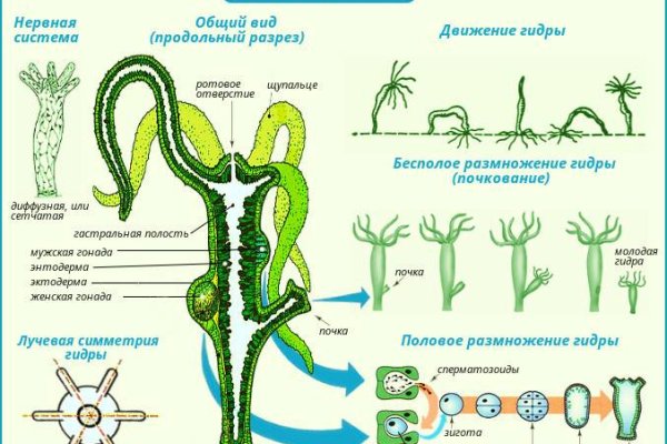 Kraken cc зеркало kr2web in