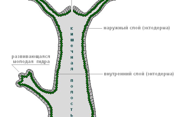 Кракен это современный даркнет