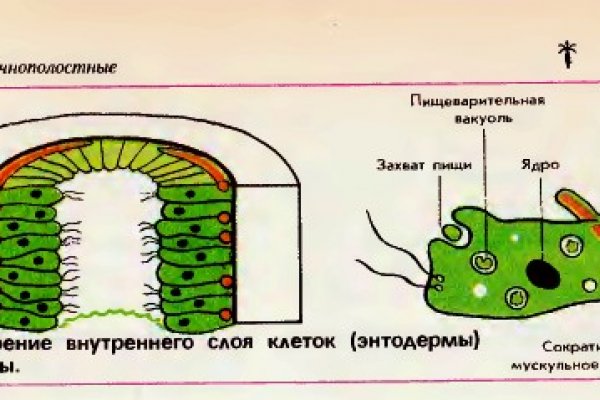 Даркнет ссылка
