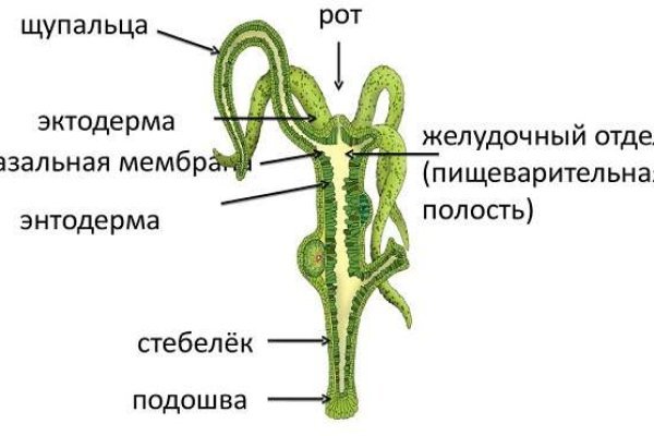 Кракен маркетплейс